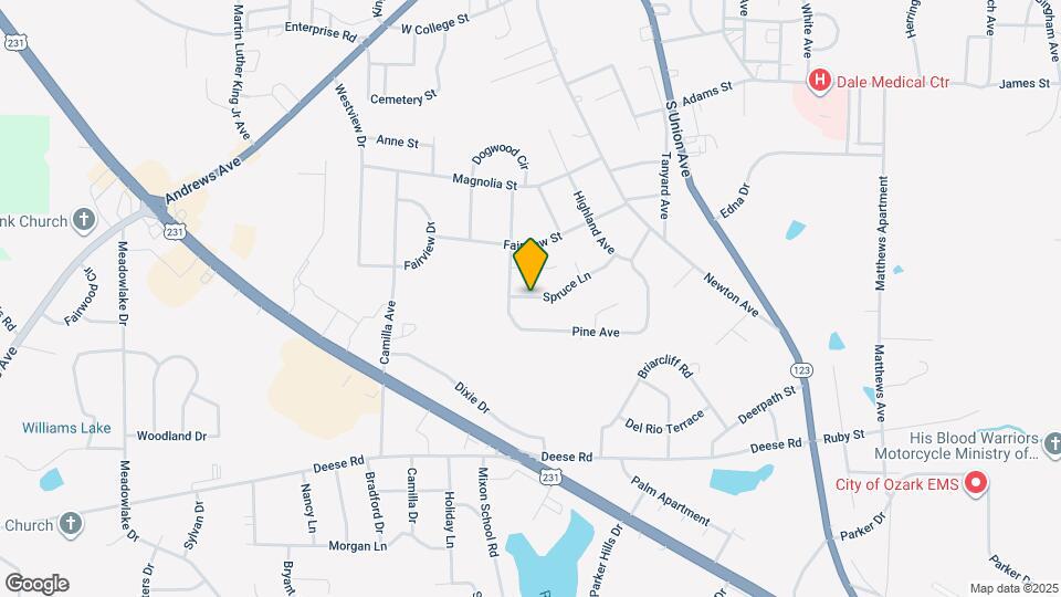 347 Spruce Ln Map and Location Details