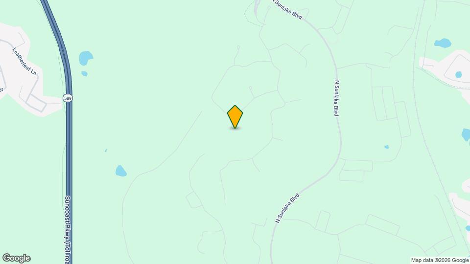 16808 Forge Surf St Mapa y Detalles de la Ubicación