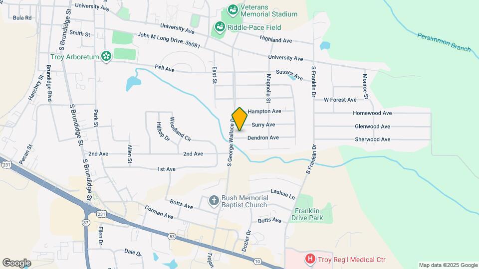 102 Dendron Ave Map and Location Details