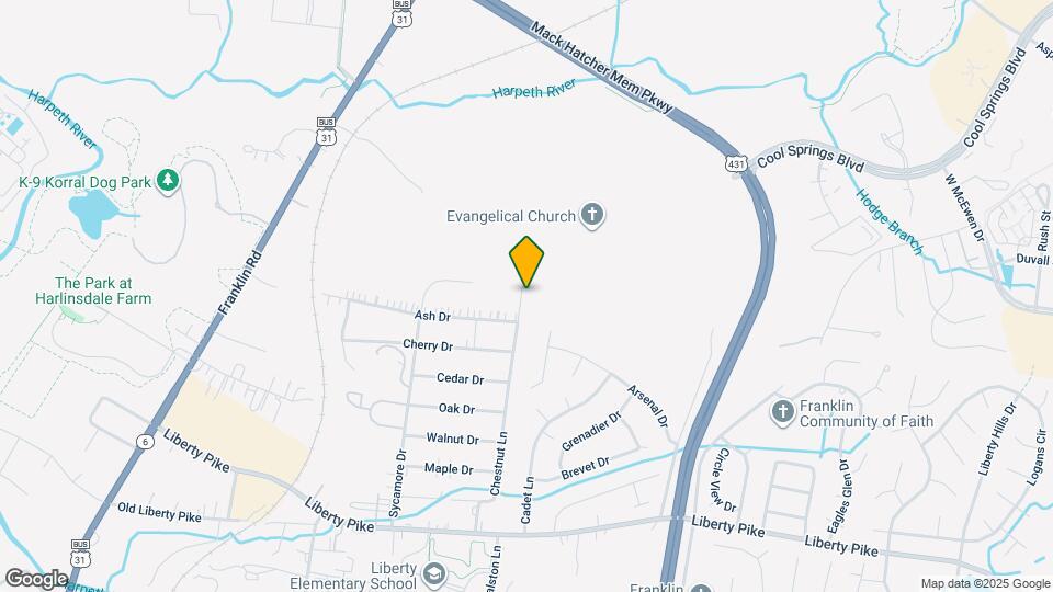 256 Chestnut Ln Map and Location Details