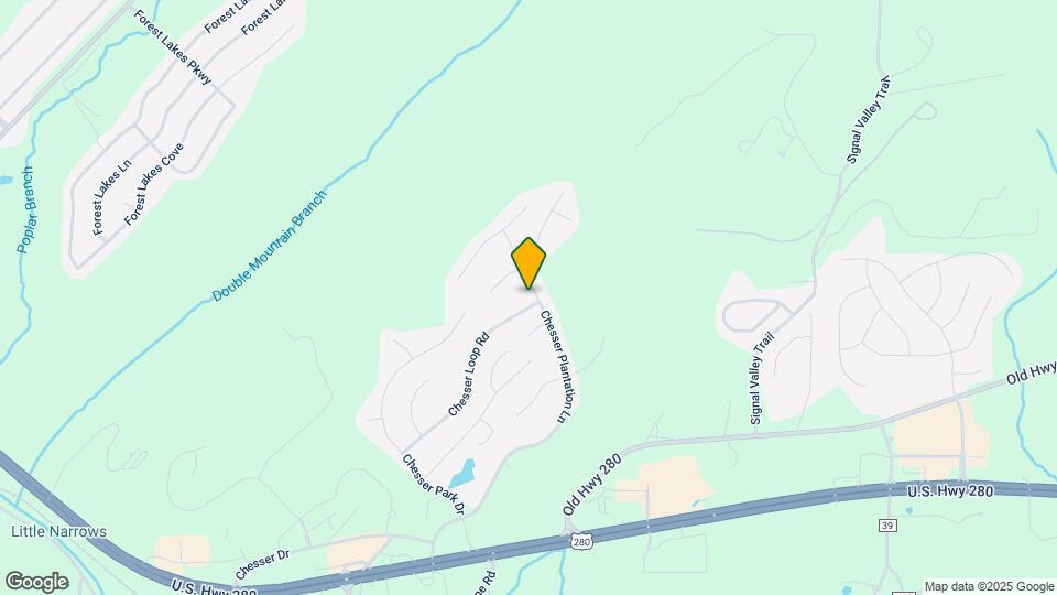 100 Chesser Loop Rd Map and Location Details