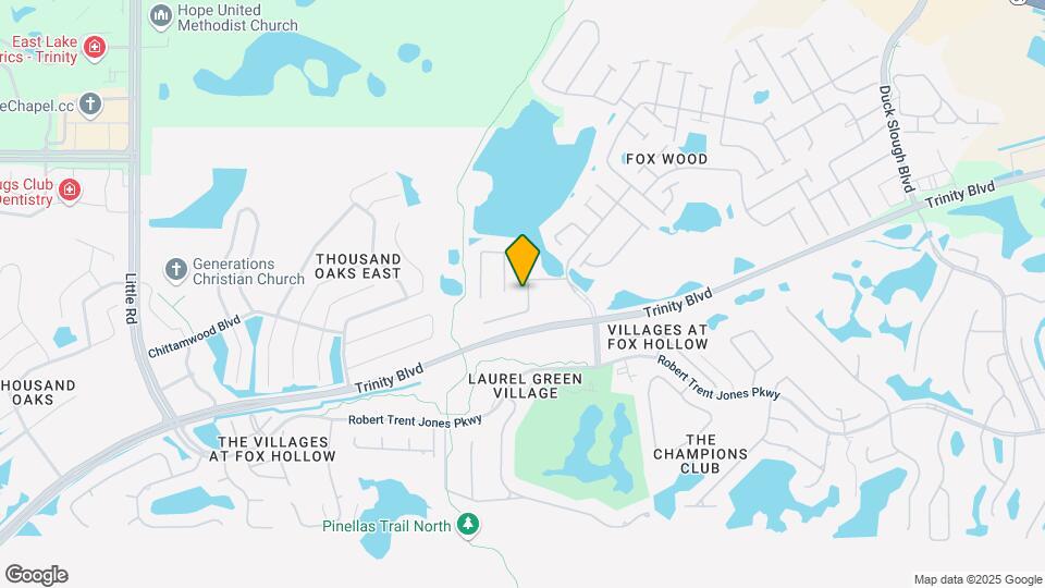 9933 Balsaridge Ct Map and Location Details