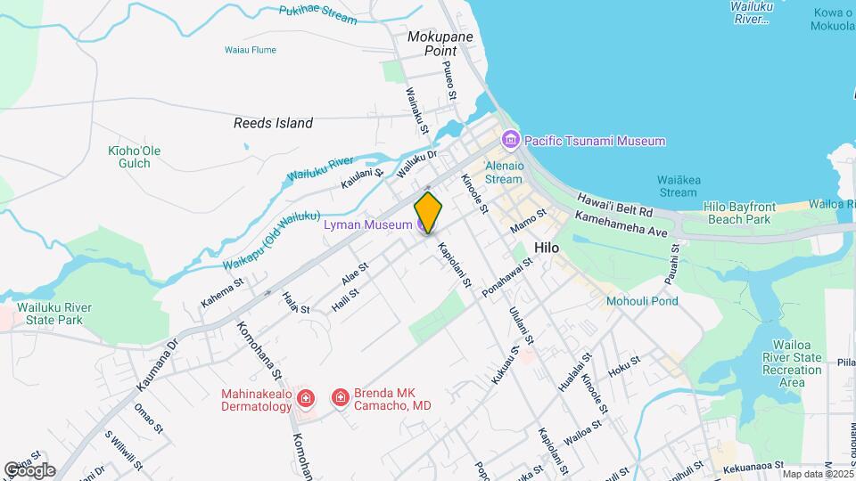 205 Haili St Mapa y Detalles de la Ubicación