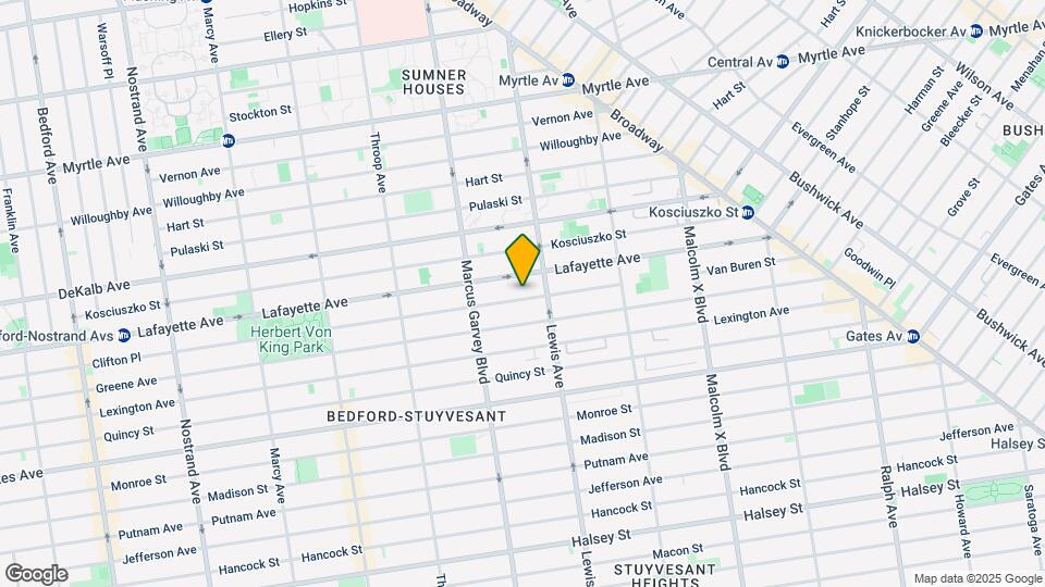 217 Van Buren St Mapa y Detalles de la Ubicación