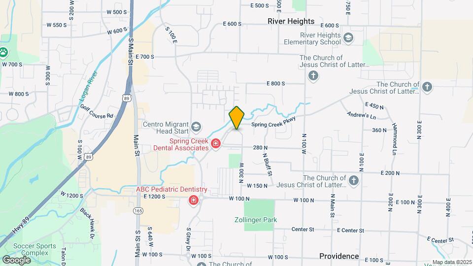 338 Spring Creek Pkwy Mapa y Detalles de la Ubicación
