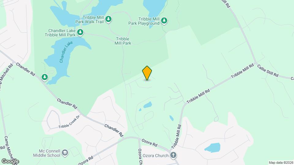 2585 Britt Trail Ct Mapa y Detalles de la Ubicación