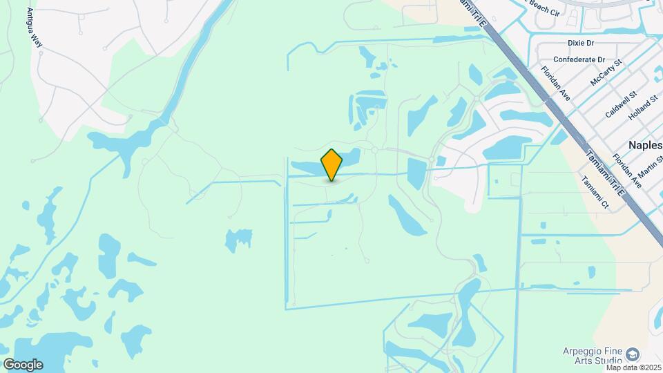 9525 Avellino Wy Map and Location Details