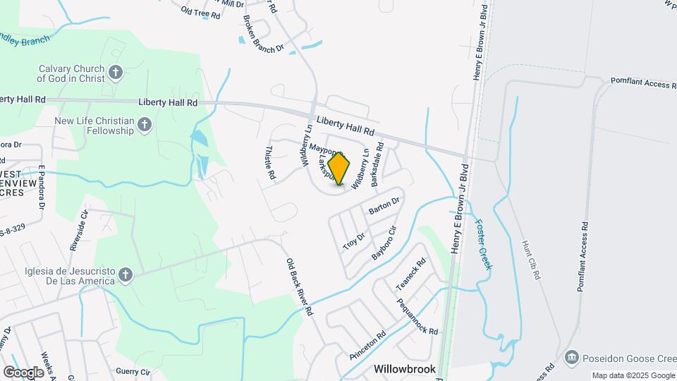 137 Wildberry Ln Mapa y Detalles de la Ubicación