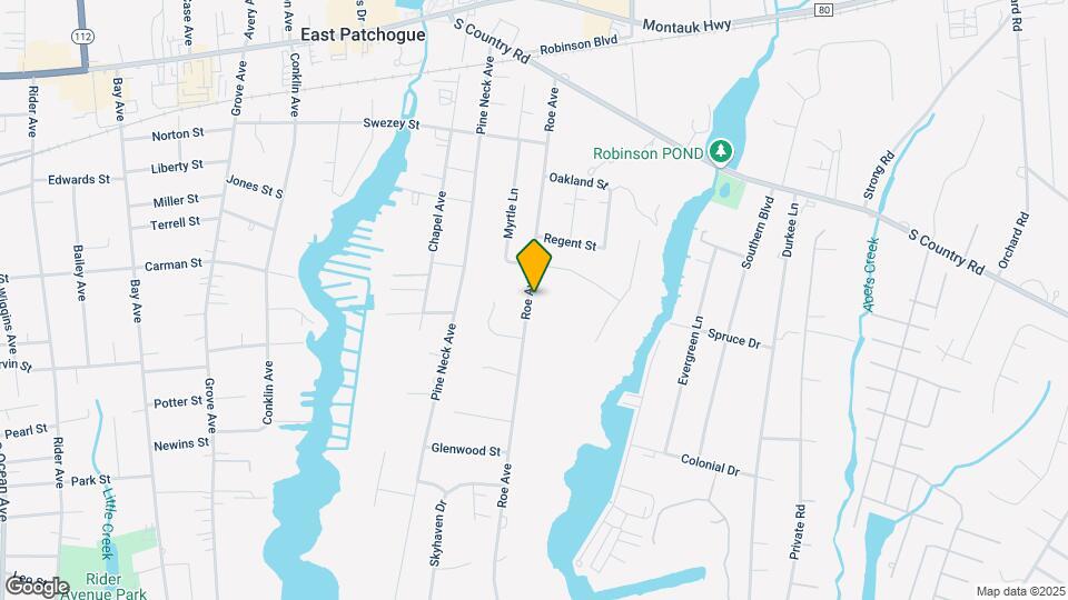 163 Roe Ave Mapa y Detalles de la Ubicación