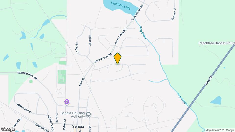 227 Piedmont Dr Map and Location Details