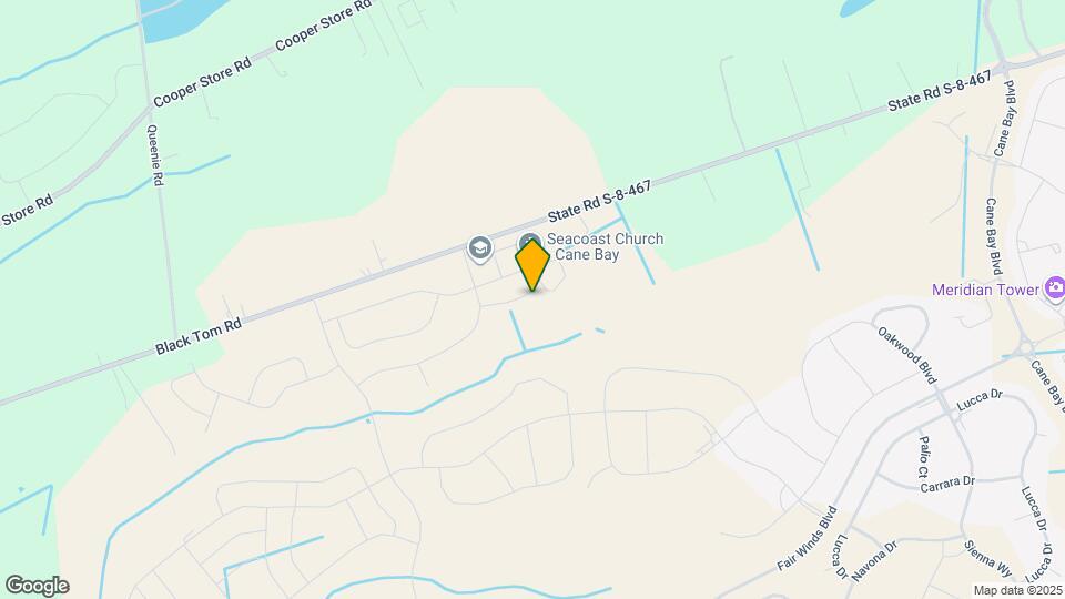 321 Calla Lily Ct Map and Location Details