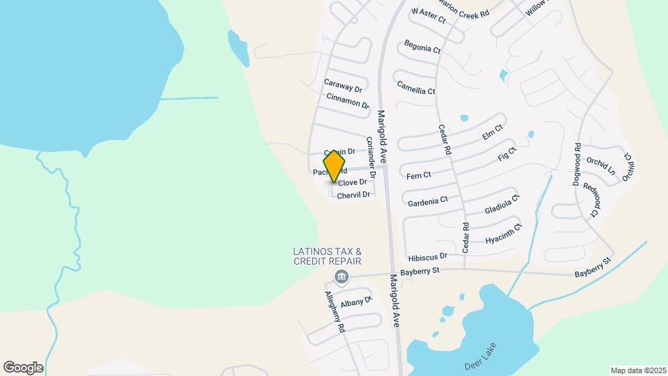 1343 Clove Dr Map and Location Details