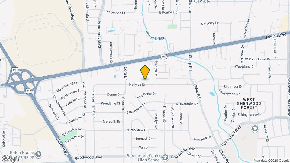 9753 Mollylea Dr Map and Location Details