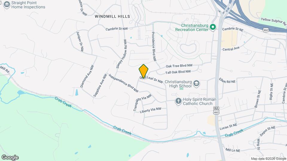 545 Silver Leaf Dr Mapa y Detalles de la Ubicación