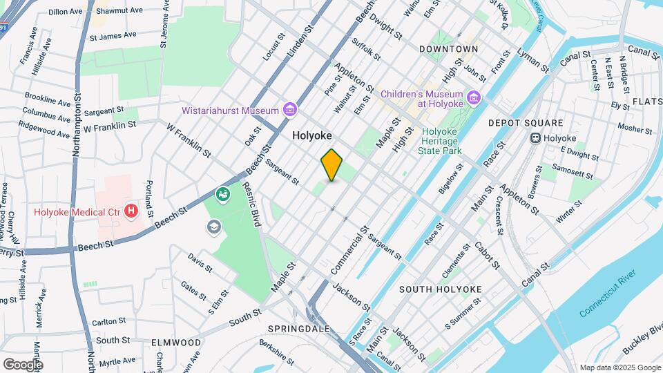 296 Chestnut St Mapa y Detalles de la Ubicación