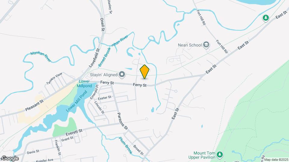 107 Ferry St Mapa y Detalles de la Ubicación