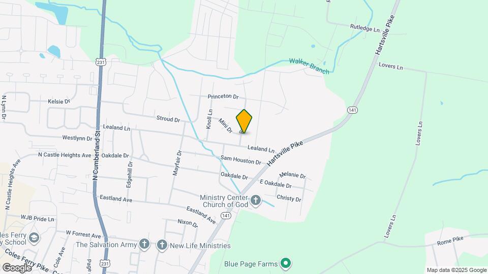 1305 Raden Dr Mapa y Detalles de la Ubicación