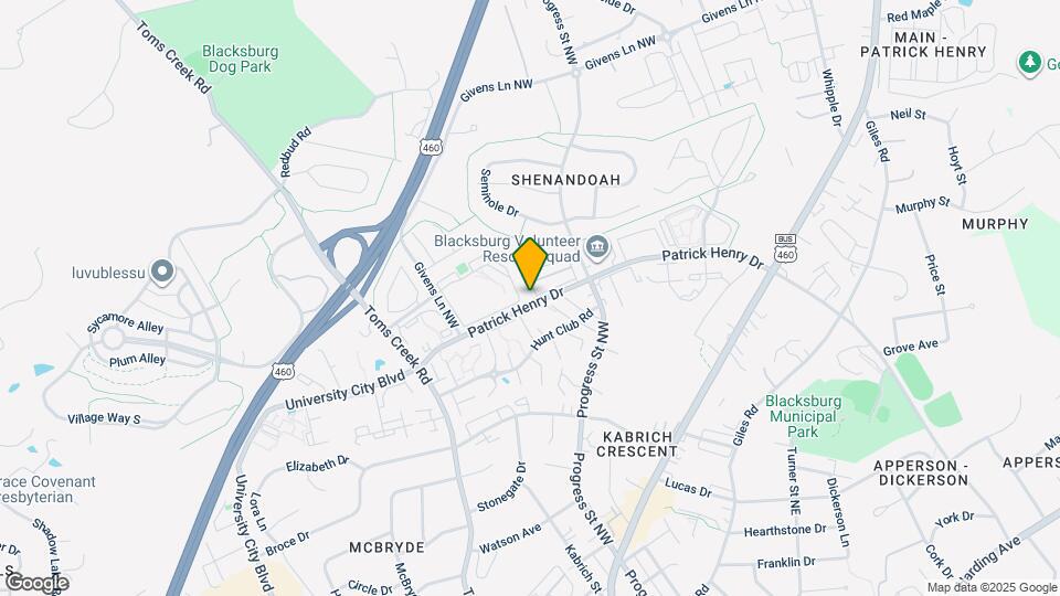 315 Shenandoah Cir Map and Location Details