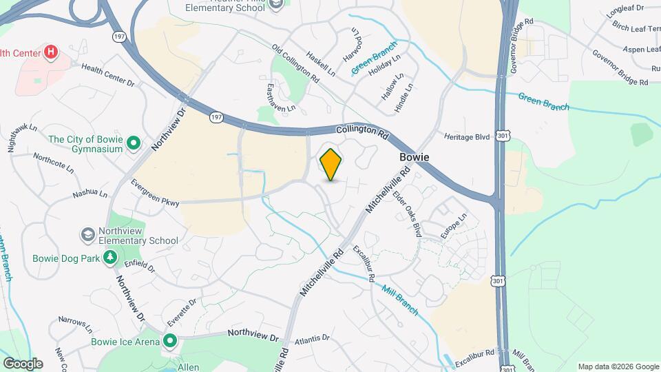 15907 Elf Stone Ct Map and Location Details