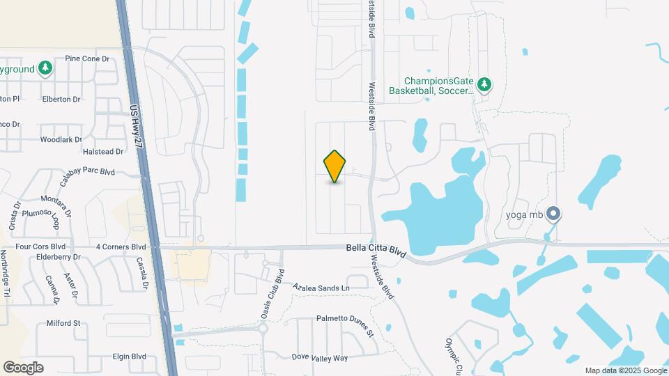 1119 Kingsbarn St Mapa y Detalles de la Ubicación