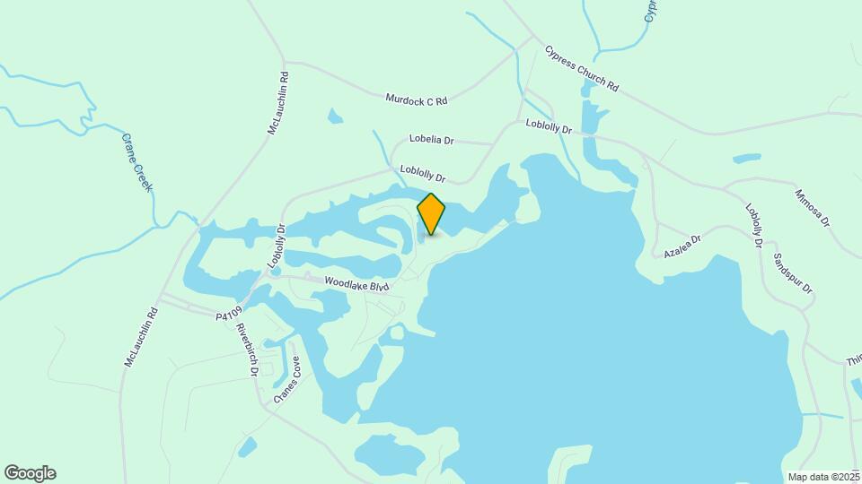 248 Bald Cypress Dr Map and Location Details