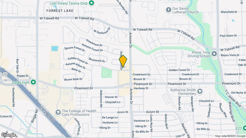 5402 Deep Forest Dr Map and Location Details