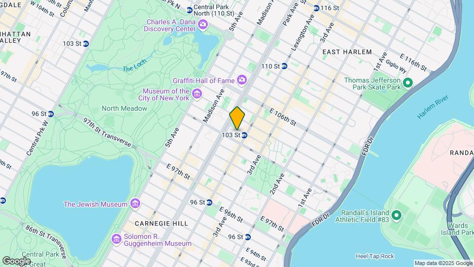 124 E 103rd St Map and Location Details