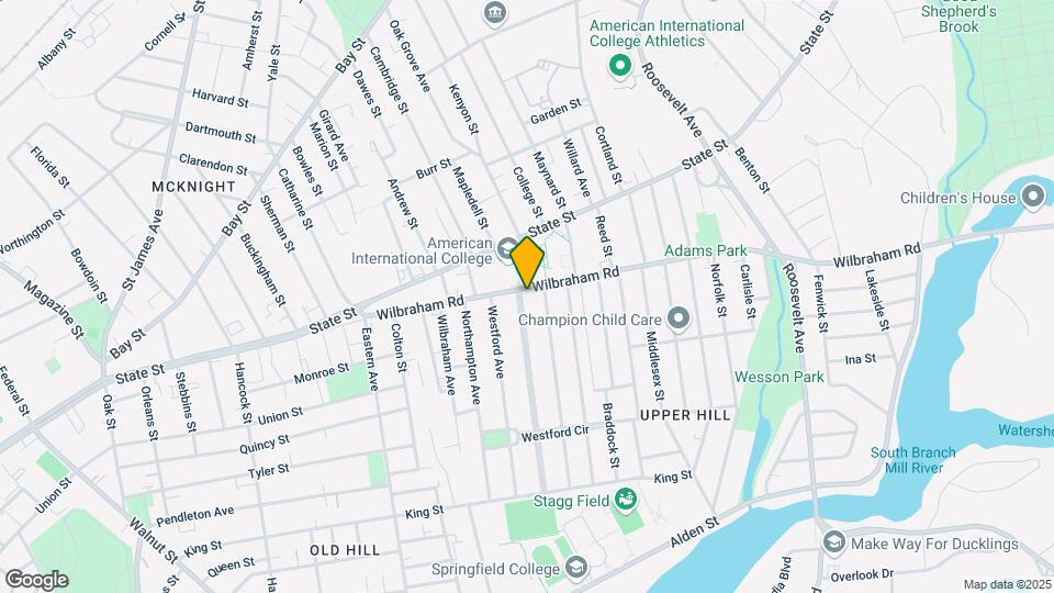175 Wilbraham Rd Map and Location Details