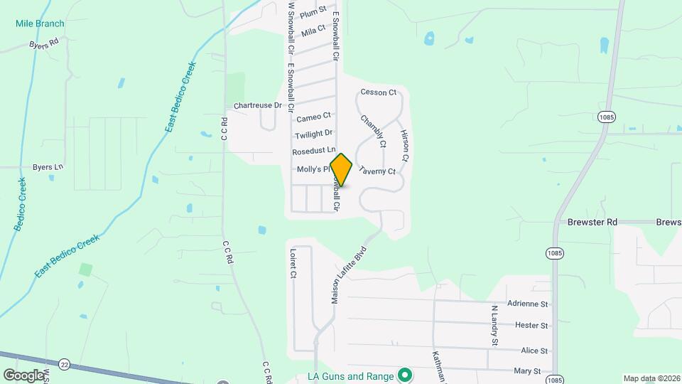 41843 E Snowball Cir Mapa y Detalles de la Ubicación