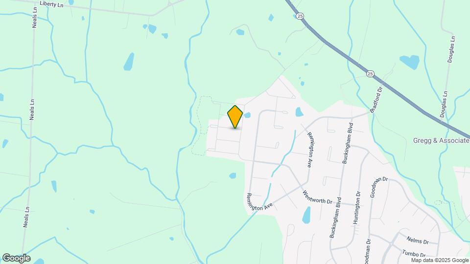 1009 Ellington Dr Mapa y Detalles de la Ubicación