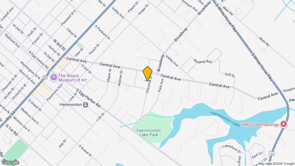 309 Chestnut St Map and Location Details