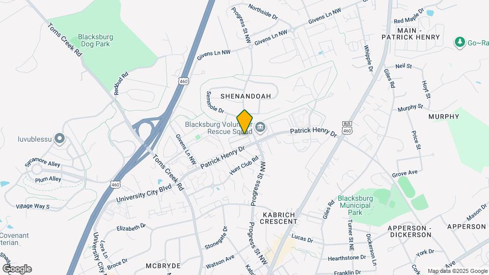 352 Shenandoah Cir Map and Location Details