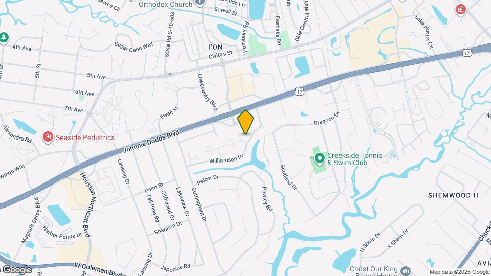 717 Williamson Dr Map and Location Details