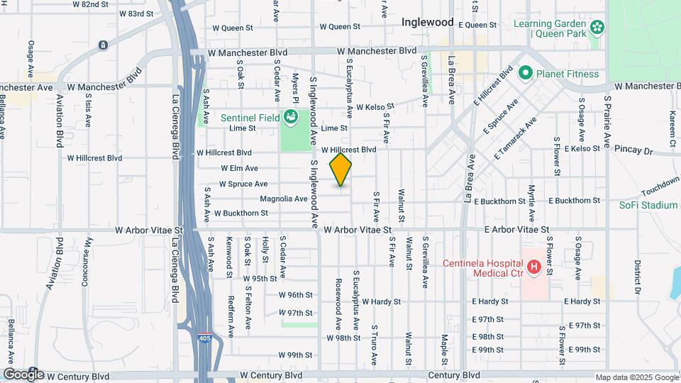 313 Magnolia Ave Mapa y Detalles de la Ubicación