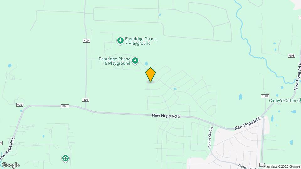 1009 Knox River Dr Map and Location Details