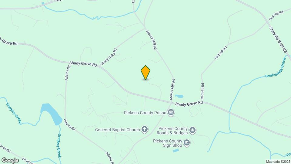 225 Laurel Oak Ln Map and Location Details