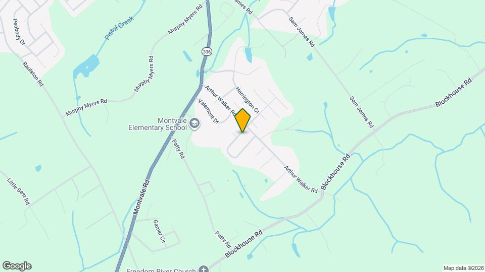 1408 Blue Forest Ln Mapa y Detalles de la Ubicación