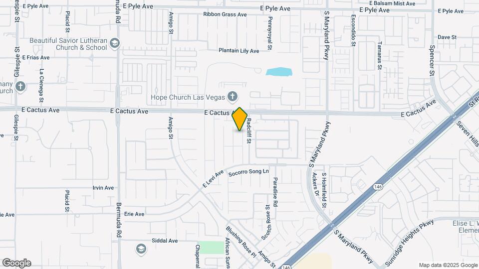 10595 Salmon Leap St Map and Location Details