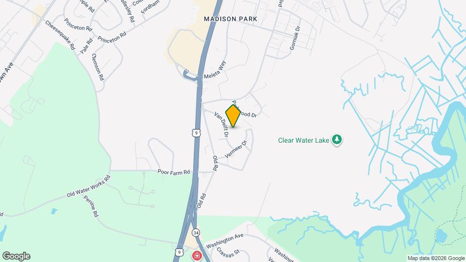 Nieuw Amsterdam Village Mapa y Detalles de la Ubicación