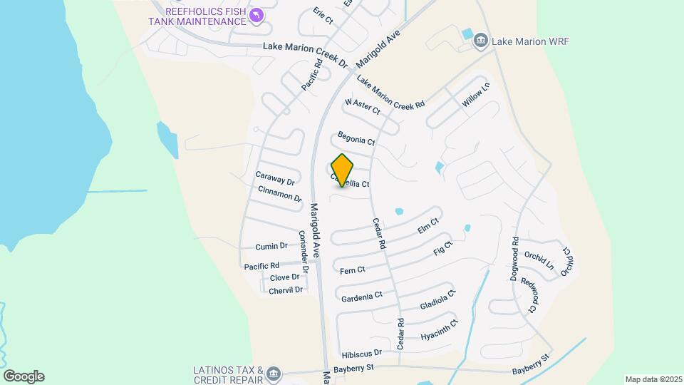 349 Daffodil Ln Map and Location Details