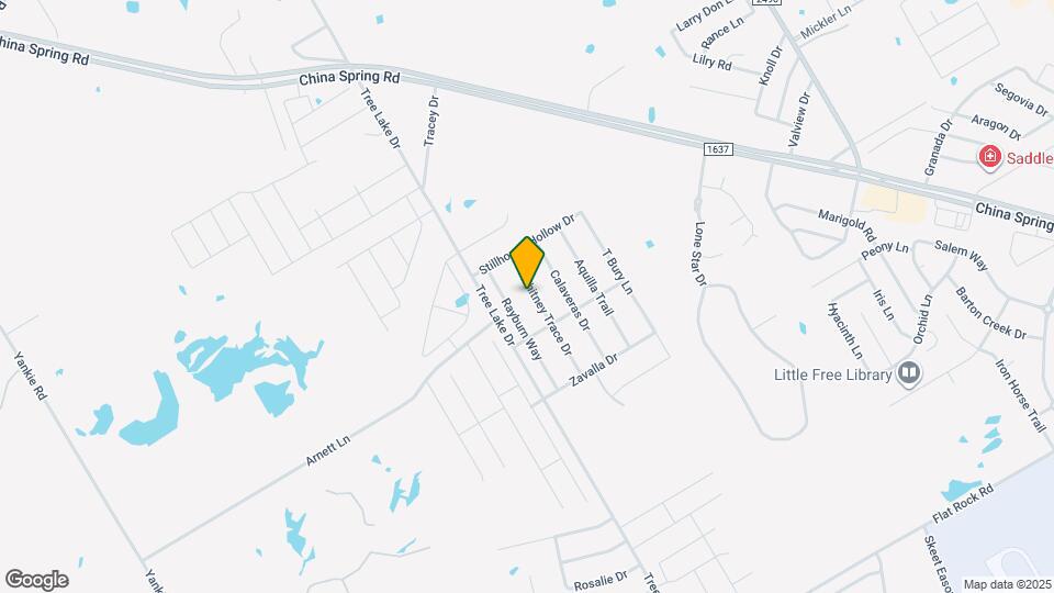 10600 Whitney Trace Dr Map and Location Details