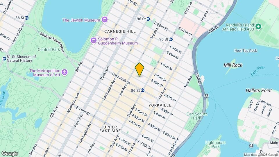 229 E 87th St Mapa y Detalles de la Ubicación