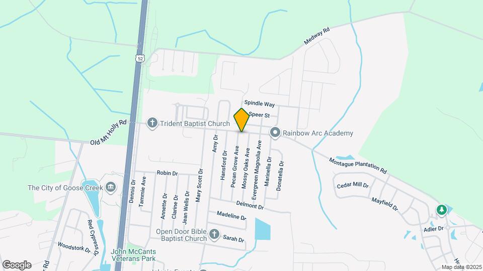 156 Pecan Grove Ave Map and Location Details