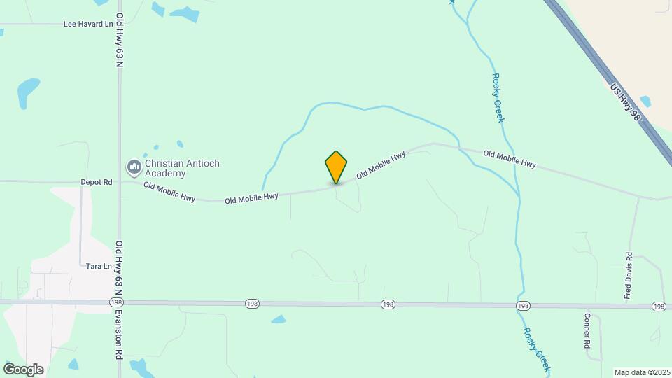 253 Old Mobile Hwy Map and Location Details