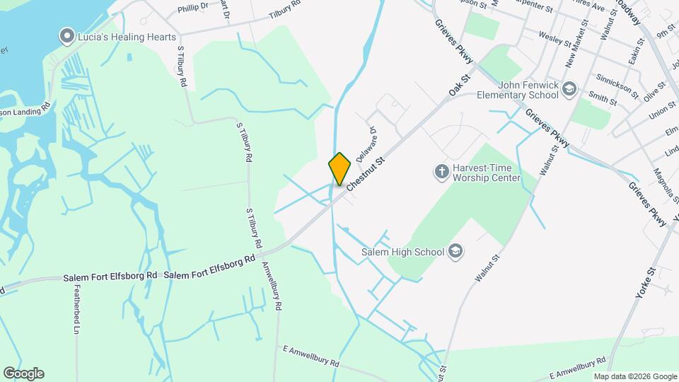 259 Chestnut St, Unit B Map and Location Details