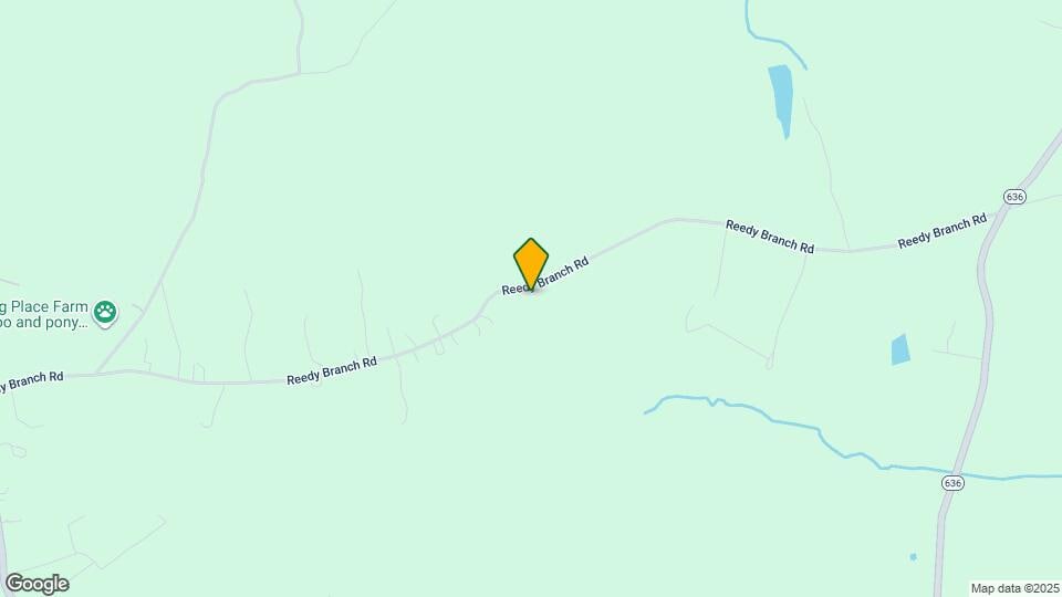 11001 Reedy Branch Rd Map and Location Details