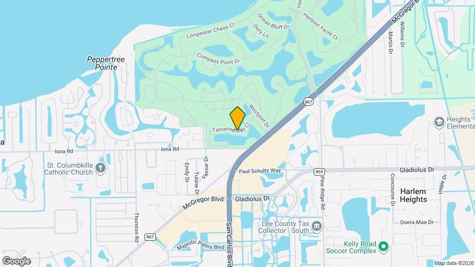 15037 Tamarind Cay Ct Map and Location Details
