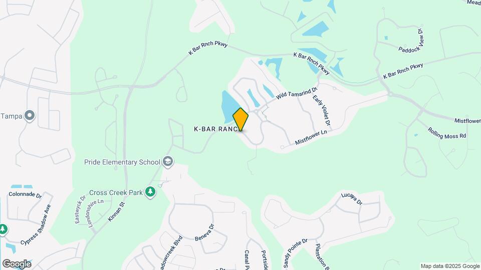 19238 Climbing Aster Dr Map and Location Details