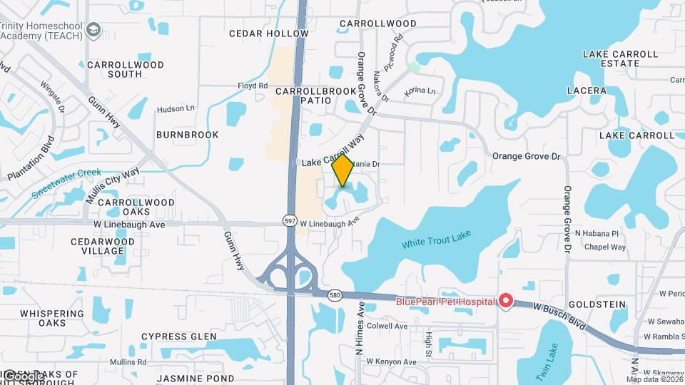 10350 Carrollwood Ln Map and Location Details