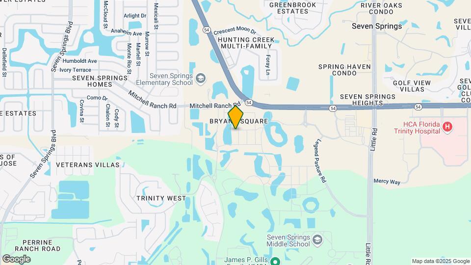 3113 Pinnacle Peak Dr Map and Location Details